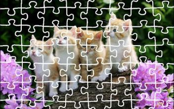 Cat Jigsaw Puzzle King截图1