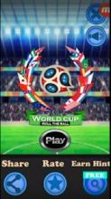 World Cup 2018 Puzzle Soccer Roll Ball截图1