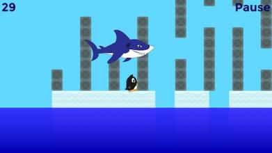 Penguin vs Shark - Penguin Run截图5