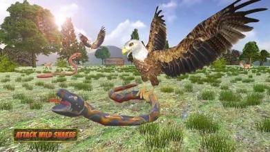 Eagle-Simulators 3D Bird Game截图4