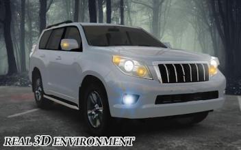 Prado 4x4 offroad land cruiser simulator 2018截图3