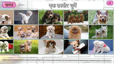 Puppies Puzzles (स्लाइड पहेलियाँ)截图2