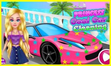 Princess Cool Car Cleaning截图4