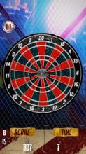 Darts Challenge msports Edition截图2