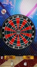 Darts Challenge msports Edition截图3