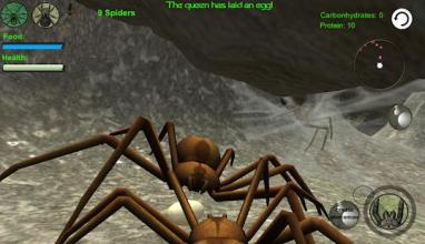 Spider Nest Simulator - insect and 3d animal game截图5