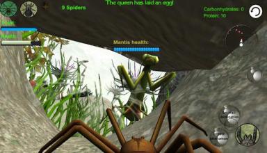 Spider Nest Simulator - insect and 3d animal game截图3