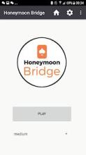 Honeymoon Bridge截图5