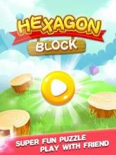 Hexagon Block-Match Blocks Puzzle Games截图1