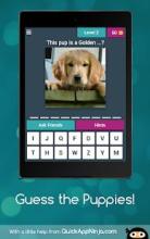 Guess the Puppies!截图5