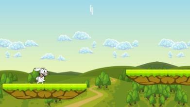 Rabbit Run - Bunny Rabbit Game截图5