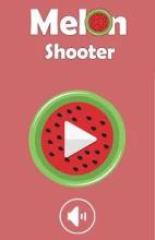 Melon Shooter截图5