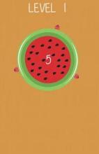 Melon Shooter截图4