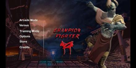 CHAMPION FIGHTER截图1