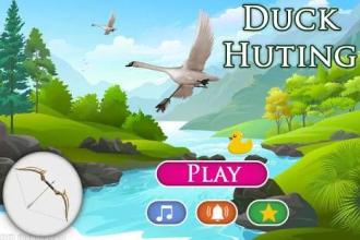 Duck Hunting : Bird Hunting Shooting截图5