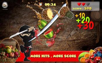 Fruit Cut Ninja Fruit Cut 3D: Fruit Slice Splash截图1