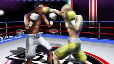 Punch Boxing Championship截图5