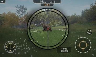 Animal Shooting Hunt In Forest 3D截图5