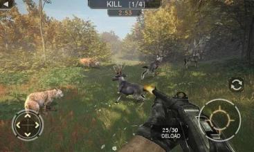 Animal Shooting Hunt In Forest 3D截图4