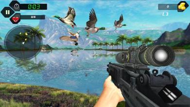 Duck Hunting Challenge截图1