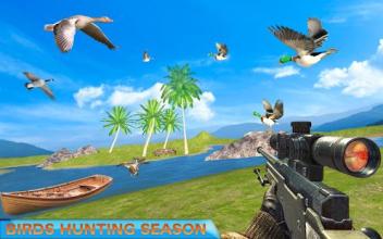 Birds Hunter Valley截图3