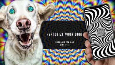 Real Hypnosis For Dogs Simulator截图2