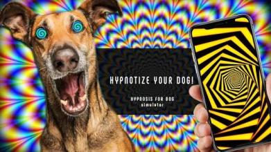 Real Hypnosis For Dogs Simulator截图1