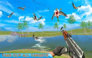 Birds Hunter Valley截图1