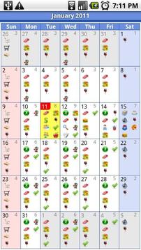 iRT Calendar Pro Trial截图