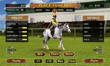 Horse Racing Simulator 3D截图4