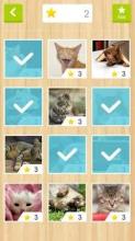 Jigsaw - Cat Kingdom截图3