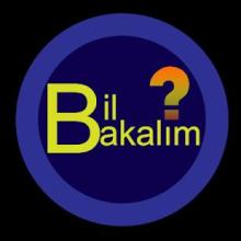 Bil Bakalım - 1GB Kazan截图5