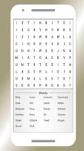 Words Search Crossword Puzzle free截图2