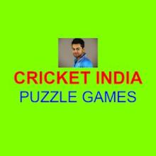 CRICKET PUZZLE截图5