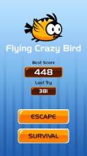 Flying Crazy Bird截图5