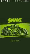 Retro Snake - Classic Game截图4