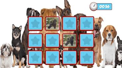 Dogs Memory Game 2018截图3