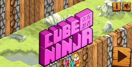 Cube Ninja 2截图4