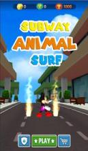 Subway Animal Surf截图5