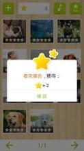 Jigsaw - Dog Kingdom截图5