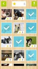 Jigsaw - Dog Kingdom截图3