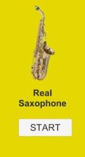 Real Saxophone HD截图2