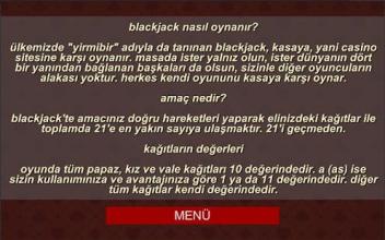 HasCard Blackjack 21截图1