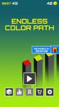 Endless Color Path截图4