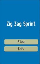 Zig Zag Sprint截图4