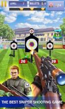 Target Practice Master Shooter截图2