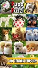 Puppy Slide Puzzle: baby animal free slider puzzle截图5