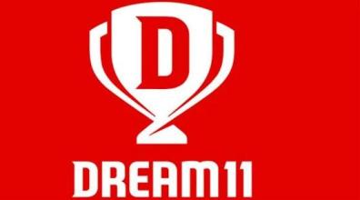 DREAM11 WORLD CRICKET截图1