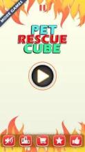 Penguin Quest Box: Pet Survival cube截图1