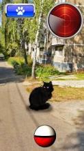 Pocket Cats GO截图2